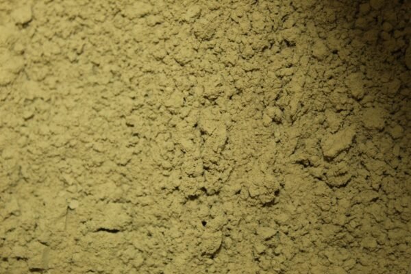 Emerald Forest Green (Powder) - Image 2