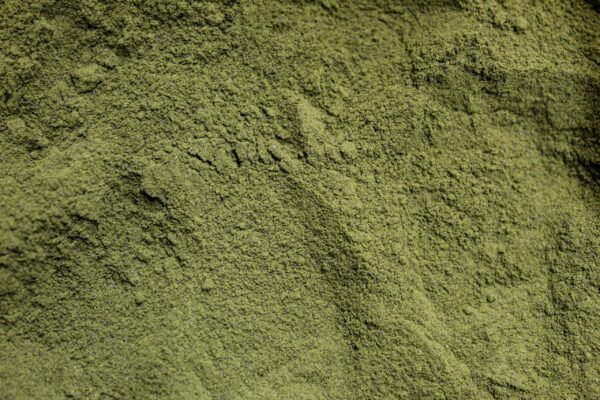 30% Green Viper Extract Powder - Image 2