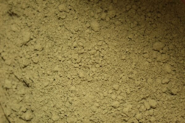 White Gold Ketapang (Powder) - Image 2