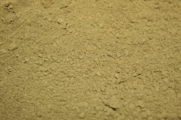 Wild White Elephant (Powder) - Image 2